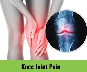 knee-joint-pain